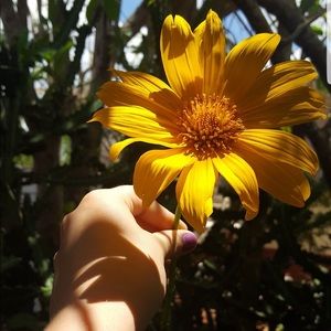 Meet your Posher, Hailey